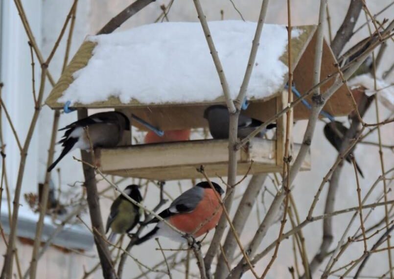    Фото из архива редакции