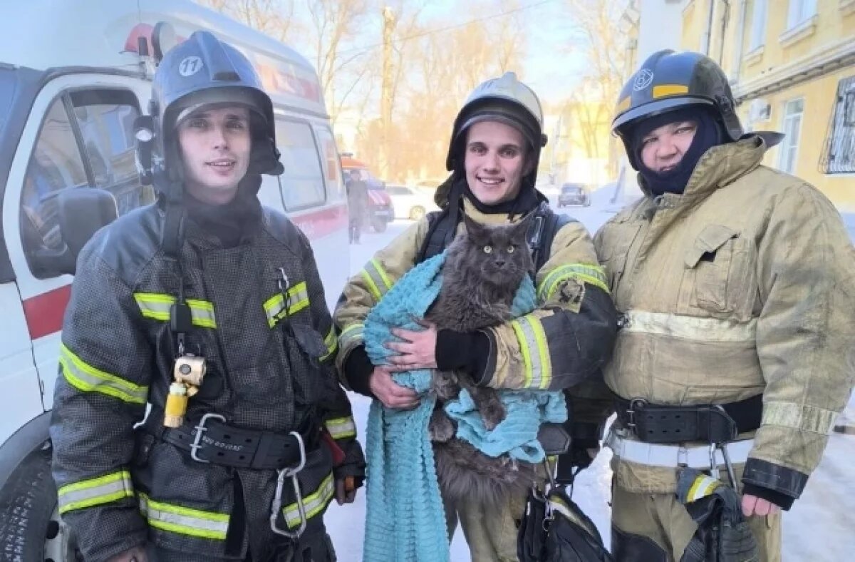    В Комсомольске за секунды до катастрофы пожарные спасли семью и их питомцев