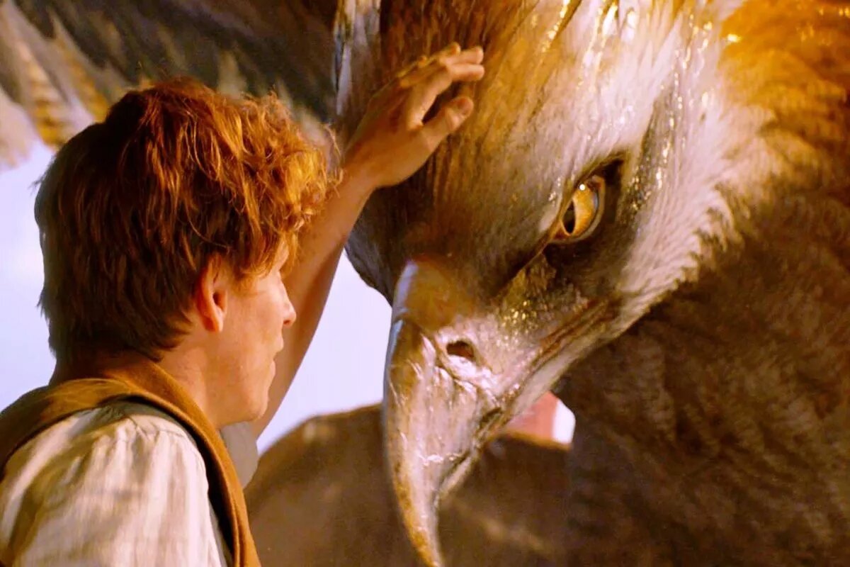 В действительности есть немало существ, которые долгое время считались мифическими созданиями, однако, как выясняется, они благополучно существуют и по сей день.
Фото: Кадр из фильма «Фантастические твари и где они обитают», 2016 год.