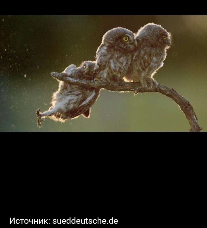 Нашла в интернете. Называется "Я СМОГУ!" 