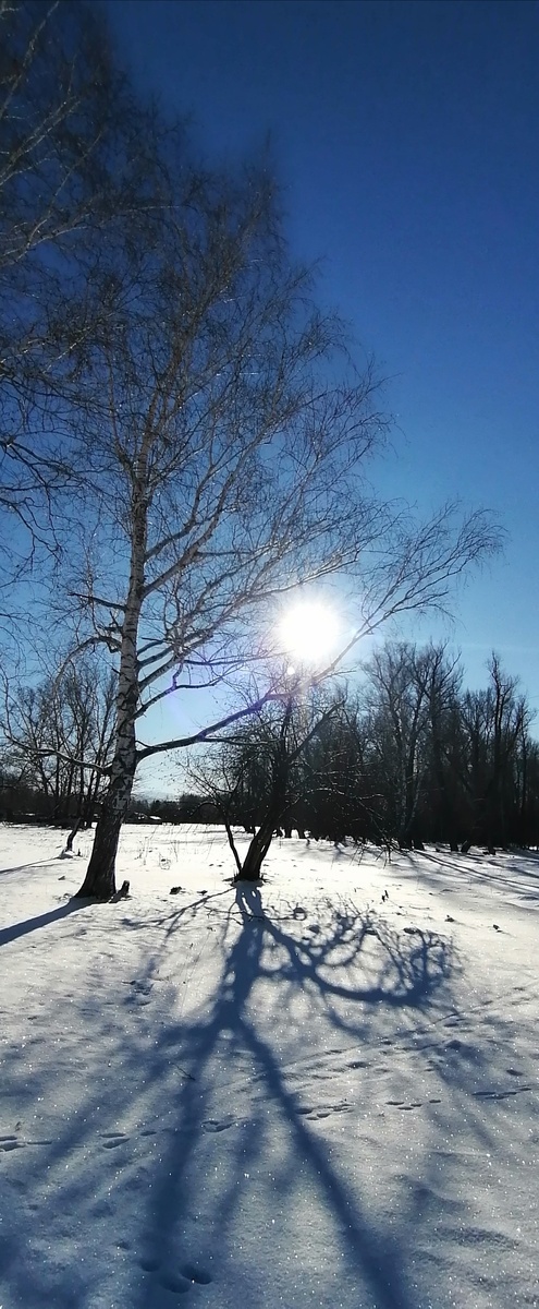 Ну красиво же. 