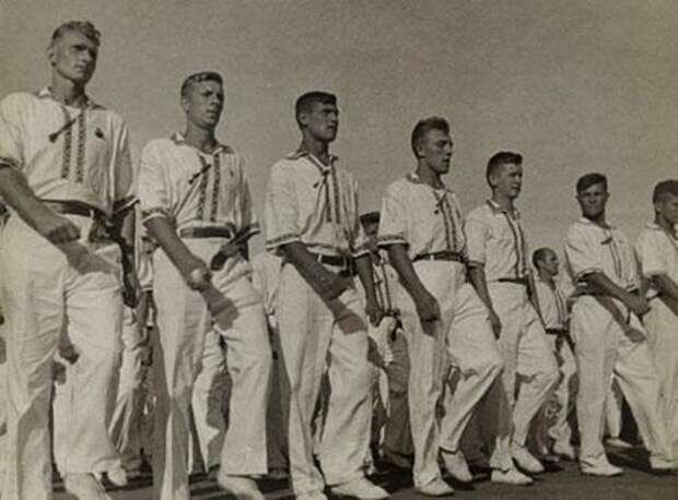 Для создания иллюстраций использовались материалы из сервиса Яндекс.Картинки.