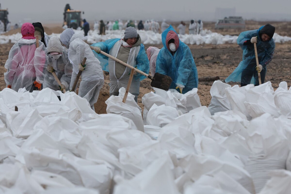     / Источник: © Belkin Alexey/Global Look Press