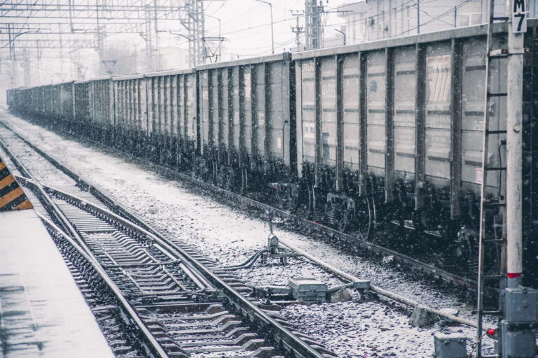    Фото: Общественная Служба Новостей Ксения Зиннер