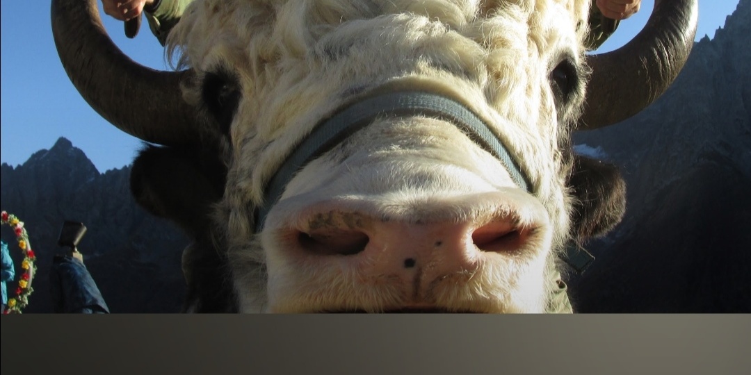 Статья о Приэльбрусье. В подарок подписчикам.