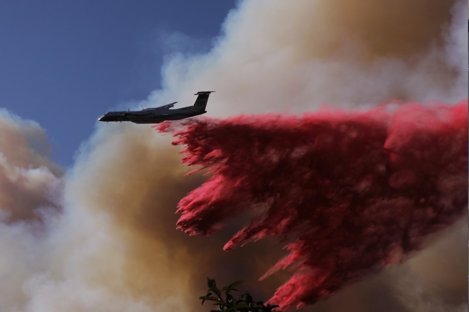    Фото: Qiu Chen/XinHua/Globallookpress