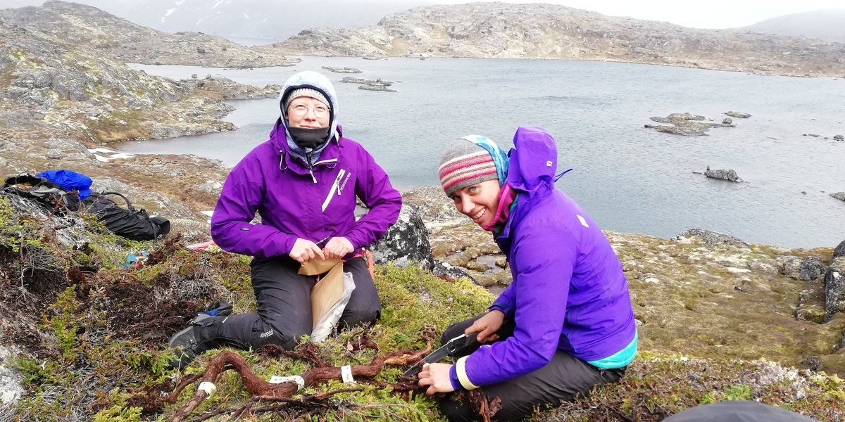 Девушки на снимке как раз берут образцы для анализа динамики прироста