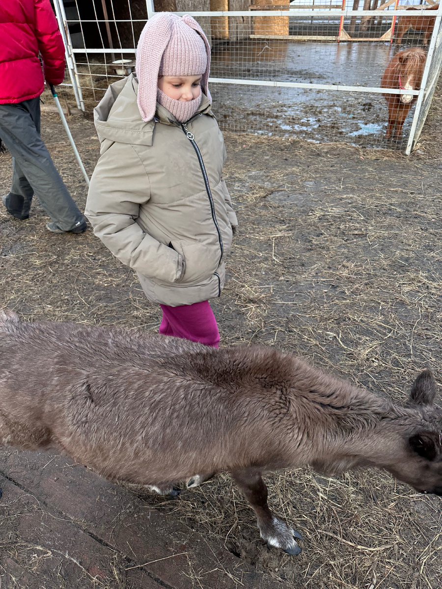 Ася и олененок