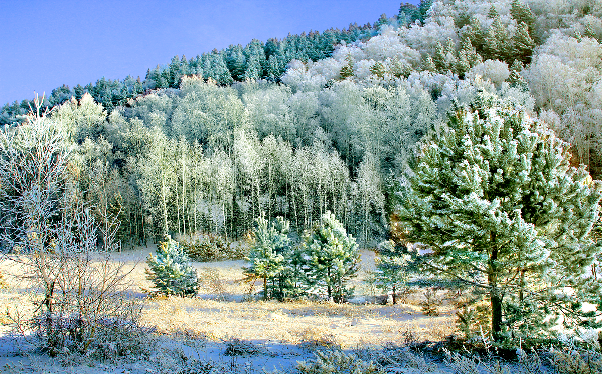 Фотография, стихотворение Василия Глуцкого