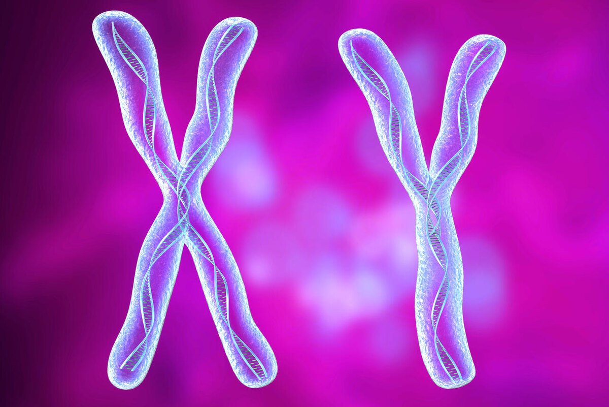     123RF/legion-media.ru