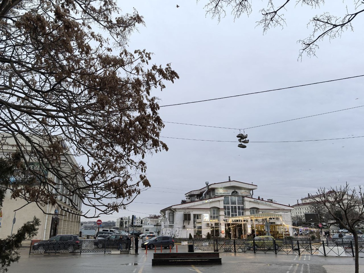 Опять кроссовки на проводах висят.