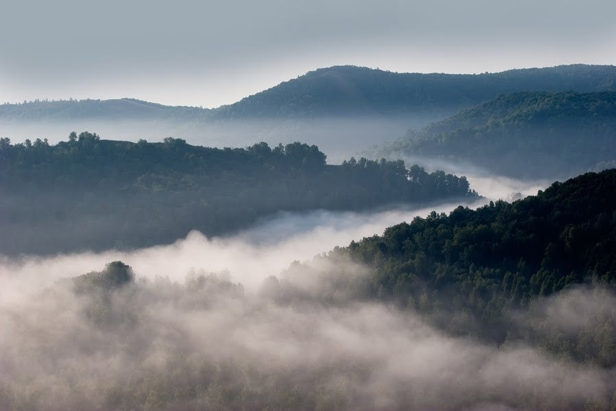 Фото из интернета