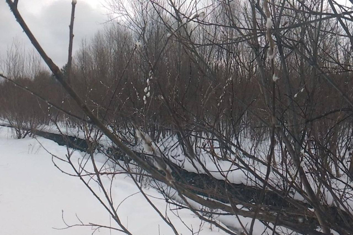 © Фото "Новосибирск с огоньком".📷
