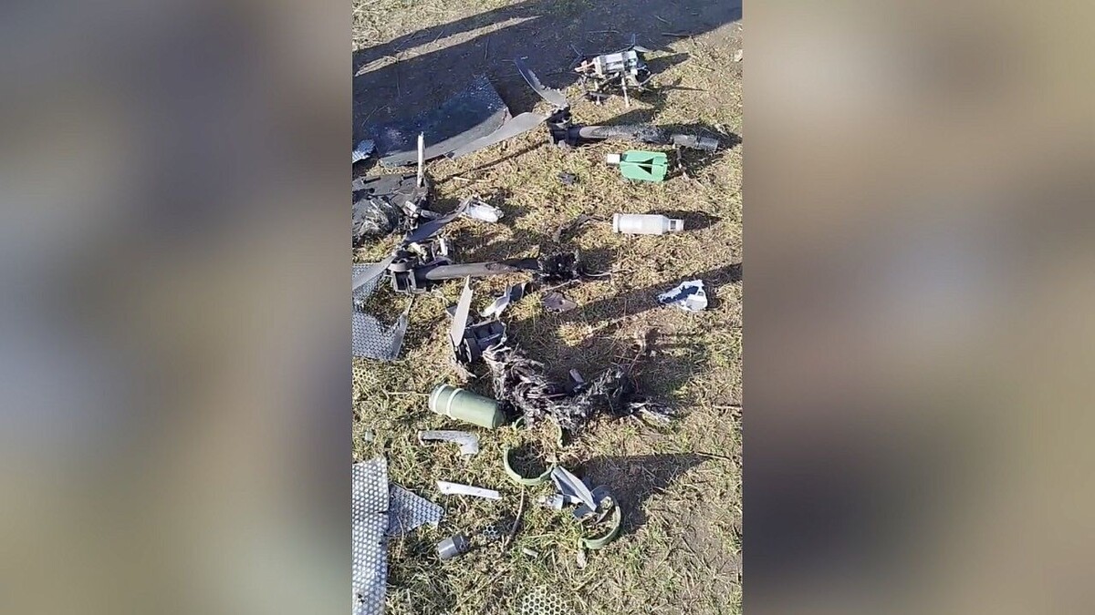    Фото: t.me/bapc11