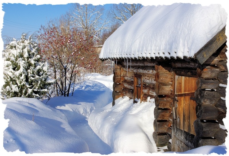 фото из интернета