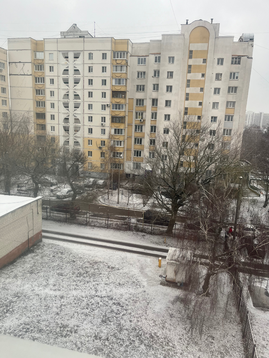 Фото автора. Погуляла в окошко, у нас тоже снег, но чуть-чуть, дома больше. 