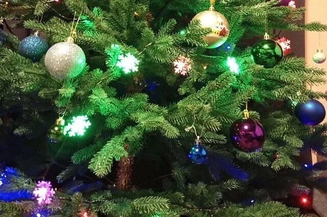    Какого числа отмечается Старый Новый год?