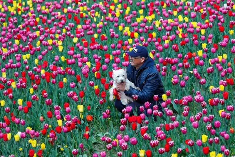     Автор: Антон Вергун Источник: ЦСИ «Артэтаж»