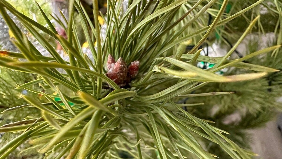    Фото: телеканал «Краснодар»