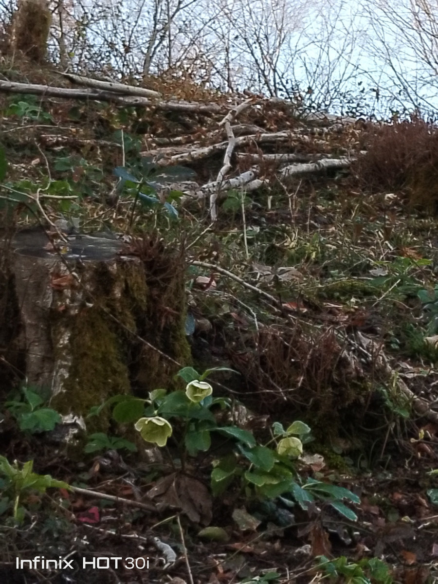 Удивительно теплый январь🥰🌞