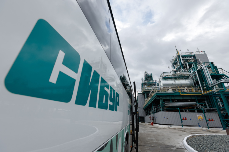    Земельные участки необходимы холдингу для развития, в том числе для реализации совместных проектов СИБУРа и индустриального парка «Северные Ворота».   
Фото: «БИЗНЕС Online»