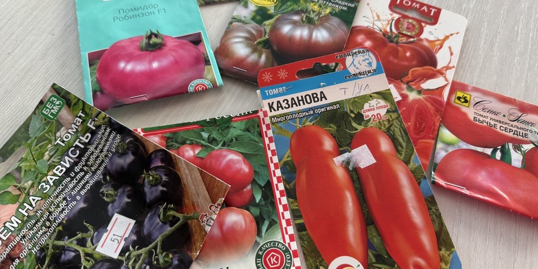 Какие сорта томатов выбрать для посадки в теплицу в 2025 году