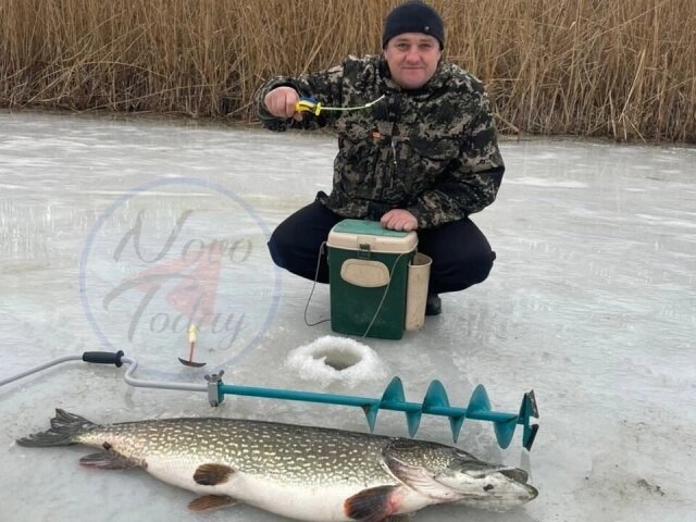    Фото: Telegram/ Новоаннинский сегодня