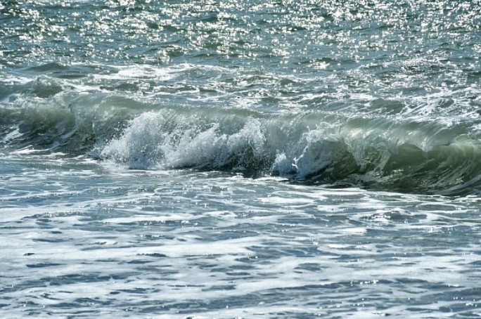    администрация Сочи