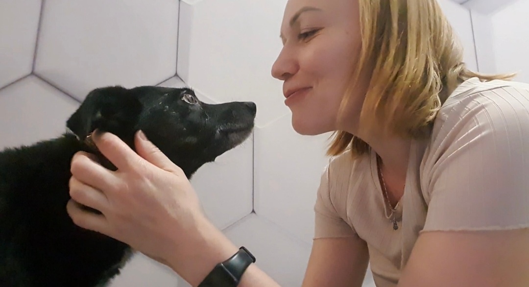 Я присматриваю за собакой по кличке Жулик