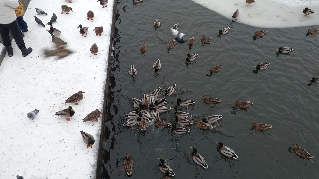    Фото: Алла Баранова/Царьград. Екатеринбург