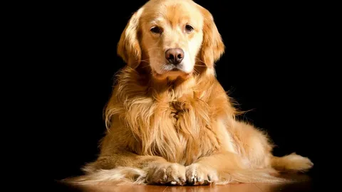 Картинка из нейросети