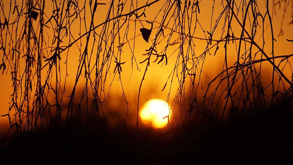    Фото: Анатолий Цымбалюк / Вечерняя Москва