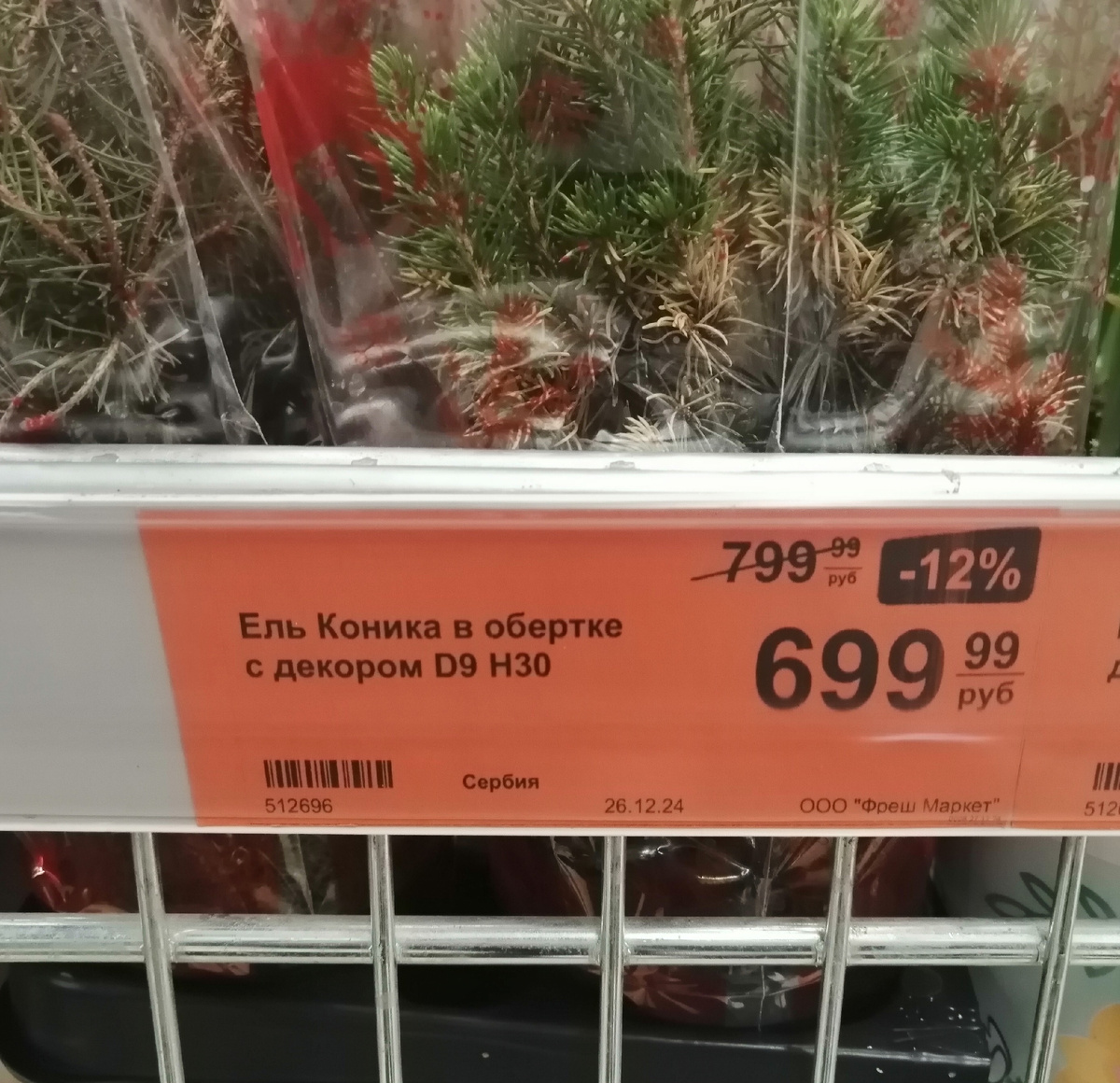 Ценник на засохшее растение по окончании новогодних праздников (и это как будто со скидкой)