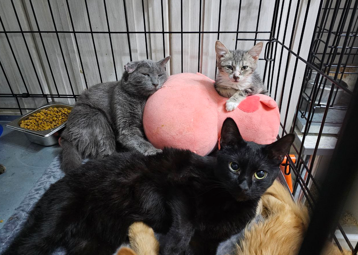 Малыши на изоляции