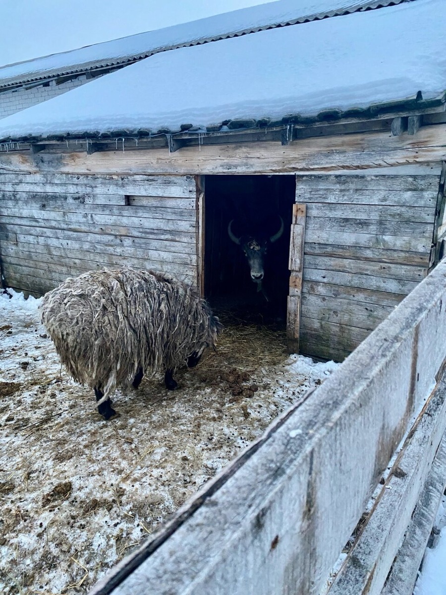 Слишком холодно, чтобы гулять