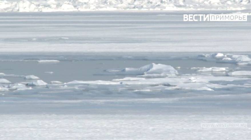    Источник фото: "Вести: Приморье", "Виртуальная Находка"