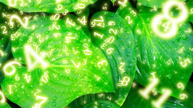 Нумерологический прогноз на 13 января