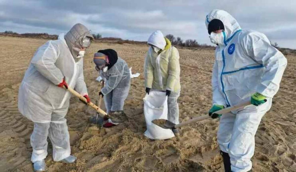     Волонтеры в Анапе. Источник: ria.ru Автор фото: Оперштаб Краснодарского края