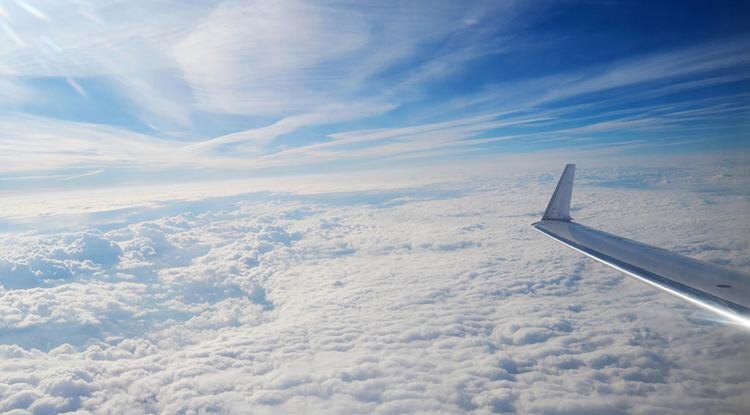 Фото: Сергей Шевченко (архив)