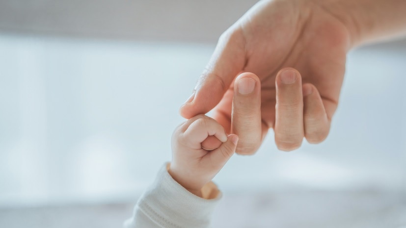 Фото: RT (https://mf.b37mrtl.ru/russian/images/2025.01/article/67829740ae5ac96b8f5f9ee9.jpg)