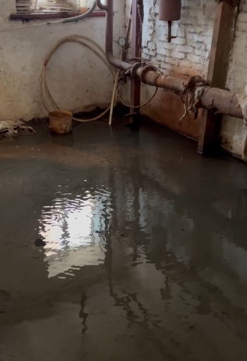    Источник фото: Скрин видео