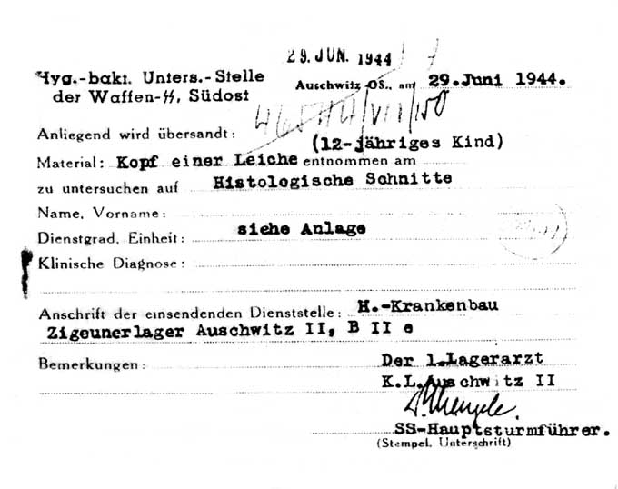 Запрос, в котором Менгеле требует для «исследования» голову 12-летнего ребёнка.