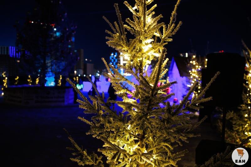    ЕАН / Площадки для сбора елок открываются в Екатеринбурге