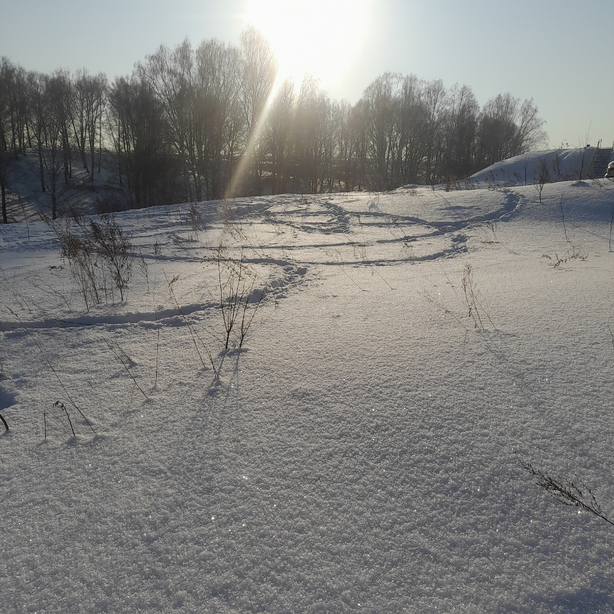 Зимняя сказка