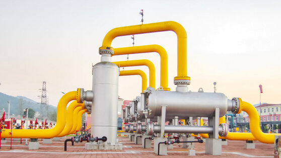    Европа может не достичь целевых показателей по запасам газа к следующей зиме Алина Городниченко