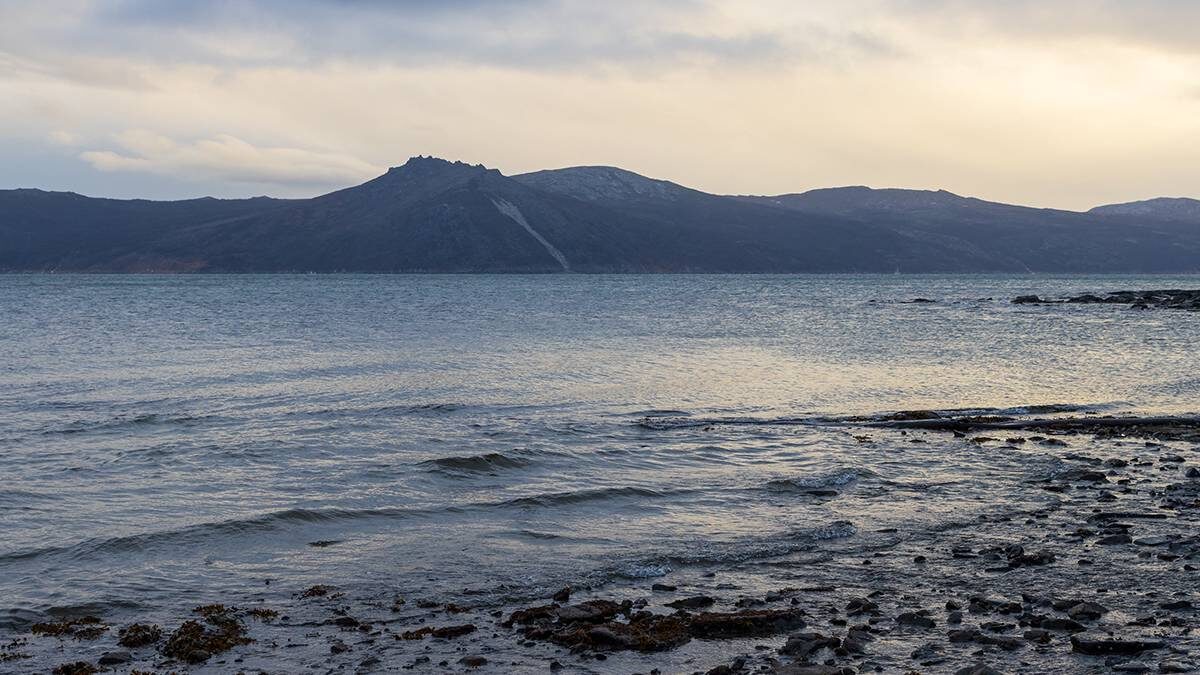    Фото: Shutterstock