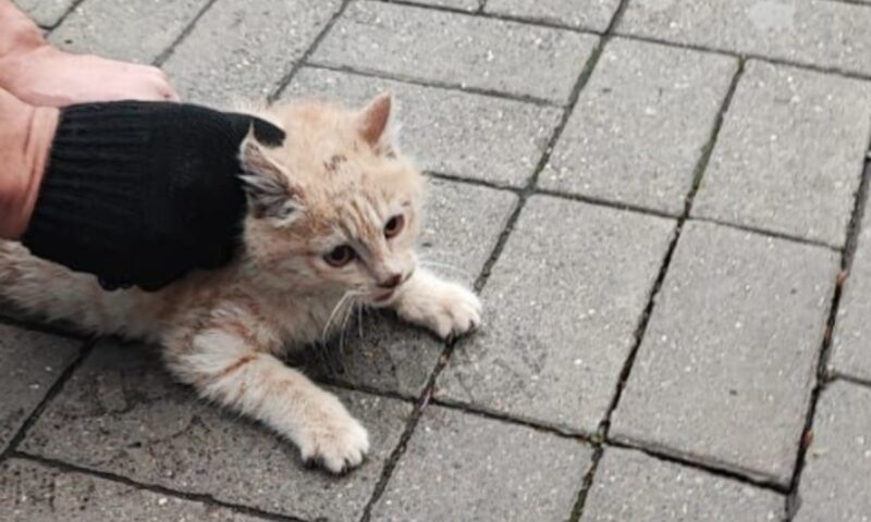    Фото t.me/alekseioderov