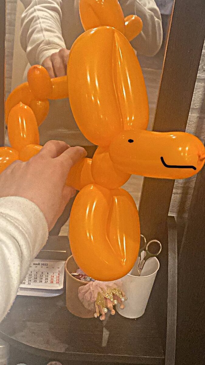 Пример: я учил детей делать собачек и другие фигуры из Шариков на мероприятиях посвященных рукоделию, мастерству и прочему