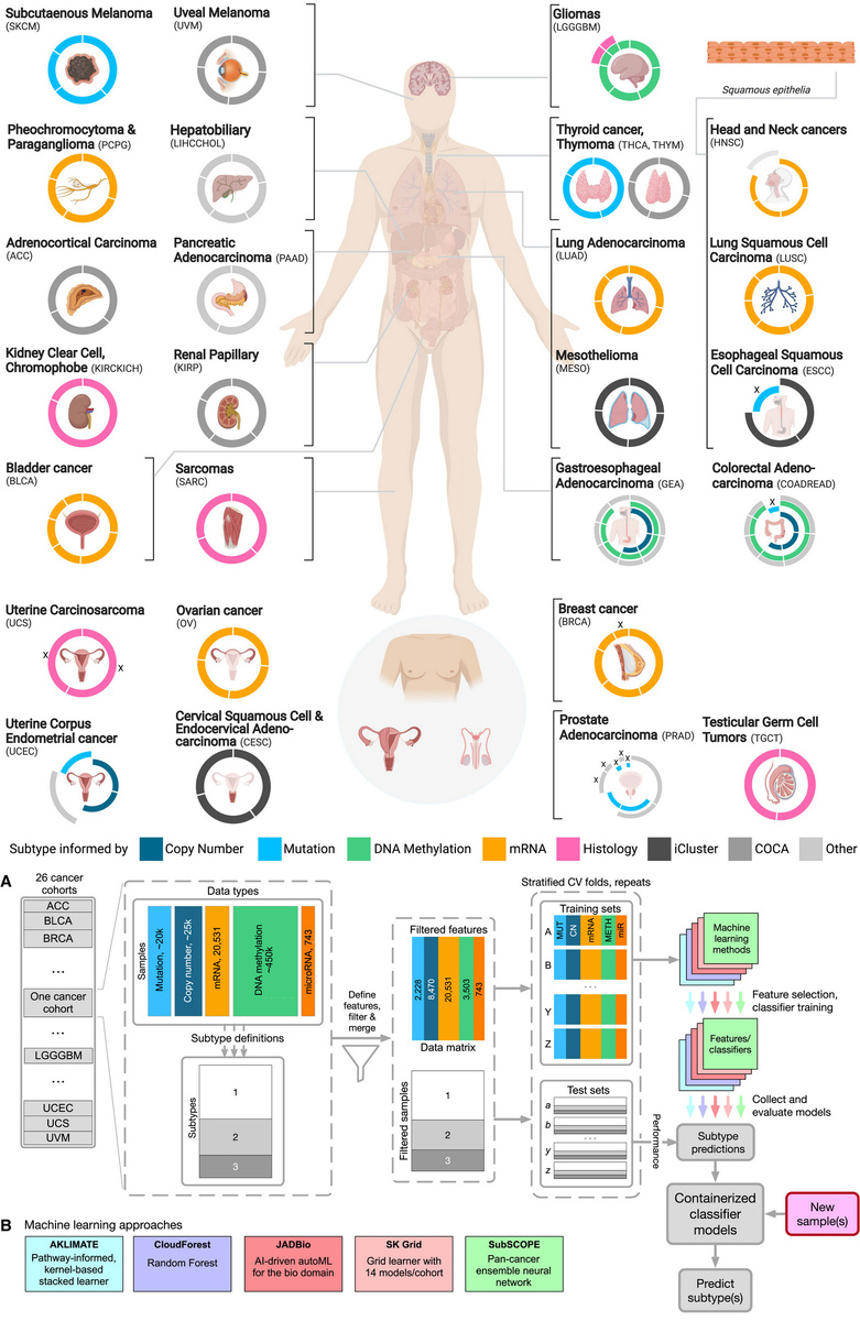   Kyle Ellrott et al. / Cancer Cell, 2025
