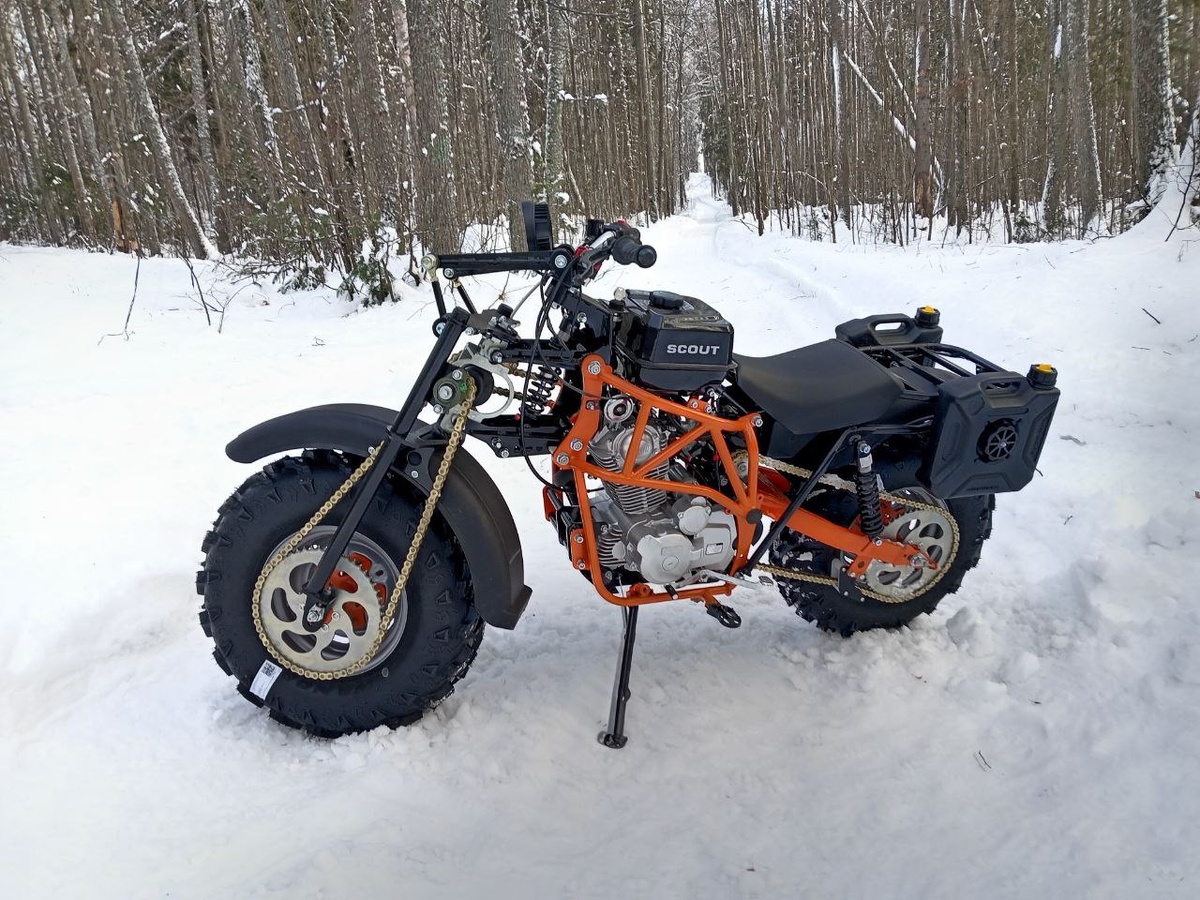 Фото Георгия Белова  📷
